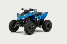 CFORCE 110