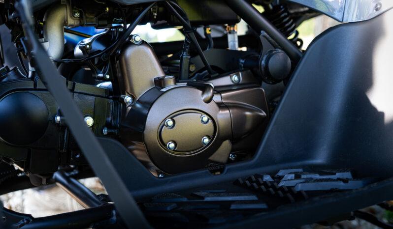 
								110EFI KIDS QUAD full									