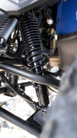 
										110EFI KIDS QUAD full									